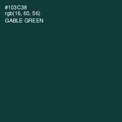#103C38 - Gable Green Color Image